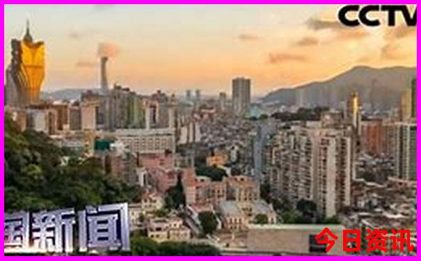 014997开奖记录查询表